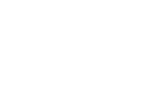 Alta Drone